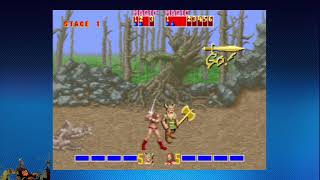 Turtle Village Trophy | Golden Axe