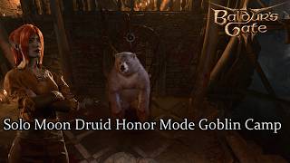 Solo Moon Druid Goblin Camp Honor Mode