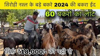 ₹18000/-@How to start goat/farming|(@India’s largest goat farming)@Agro Farming Vlogs