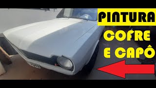 Faça você mesmo! Pintura do Cofre e Capo em casa - Pintura Automotiva gastando pouco!