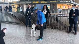 David Spade pets dog in airport & takes SELFIES! JOE DIRT