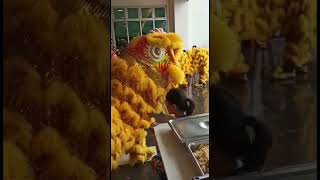 Chinese New year lion dance 2023