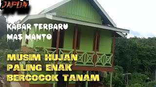 KABAR TERBARU MAS MANTO MUSIM PENGHUJAN BERCOCOK TANAM