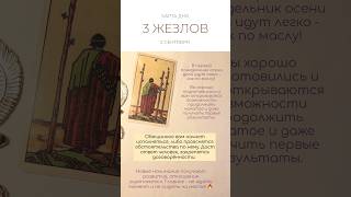 🦊 КАРТА ДНЯ 2 СЕНТЯБРЯ #таро #картытаро #tarot #tarotube