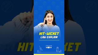 HIT-WICKET on NO BALL: six or out?🤫😲  #shorts #viral #shortsvideo