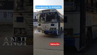 Uravakonda To Kadapa Bus #shorts #buslover #bus #ytshorts