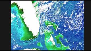 Southeastern U.S. Ocean Conditions Update - 2/13/2024