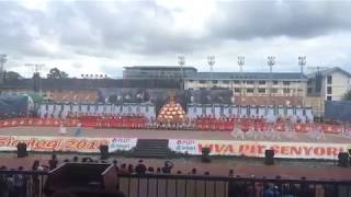 Sinulog sa Kabataan sa Lalawigan 2018 - Carcar City Division (2nd Place)