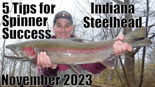 Indiana Tributary Steelhead: Spinner Success 11/20/23