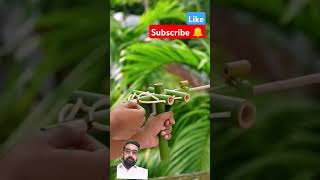 BAMBOO CREATION #SHORTVIDEO#YTSHORTS #toys #trending