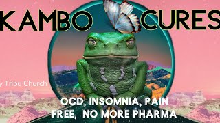 KAMBO CURES | OCD | PHARMA & INSOMNIA