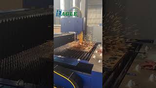 6K fiber Laser Cutter in California GU Eagle Laser(Speed up video)