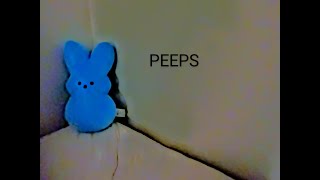 Build-A-Bear Peep plushie!