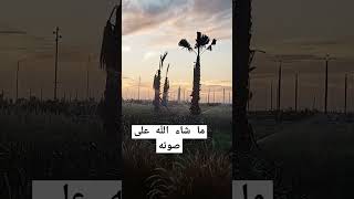 اجمل صوت و أجمل دعاء #youtubeshorts #fypシ #explore #دعاء #السعودية #shortvideo #دعاء_مستجاب #118