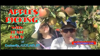 APPLE'S PICKING  with TEAM GALA  @ Coatesville, AUCKLAND, NZ