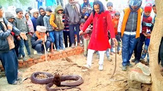 इतनी खतरनाक स्थिति को देखकर पूरा गांव भयभीत!!#cobrasnakerescue#kingcobra#animalsvideo