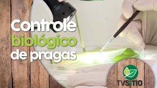 CONTROLE BIOLÓGICO DE PRAGAS