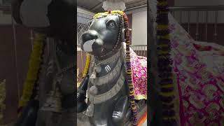 Nandi Bhole Mahakal #india #religion #mahadev #mahadevtemple #travel #god #hanuman #shiv #bhole #god