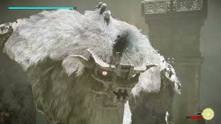 SOTC PS4 Colossi 6 Barba  (Hard Mode Run)