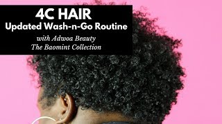 Updated Wash-n-go on 4C Hair Adwoa Beauty | The Natural Cole