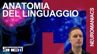 Anatomia del linguaggio