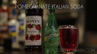 Monin Pomegranate Syrup Italian Soda