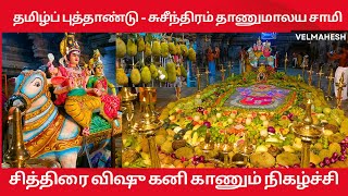 சித்திரை விஷு கனி காணும் நிகழ்ச்சி | தாணுமாலயசாமி கோவிலில் சித்திரை விஷூ