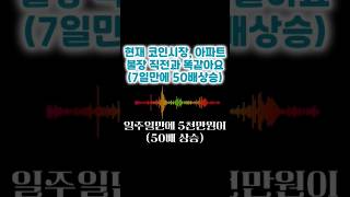 현재 코인시장, 아파트 불장 직전과 똑같습니다(7일만에 50배가 가능한 타이밍) #비트코인 #알트코인 #반감기 #비트코인ETF #아파트투자