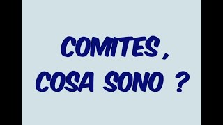 COMITES 2021 I Cosa sono i Com.It.Es.?