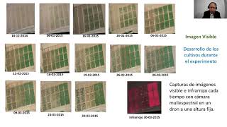 Proyecto: Experimentación agrícola con imagen multiespectral - Felipe de Mendiburu Delgado