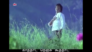 Aathadi Paavadai - Pallavi - Lyrics - Ilayaraja - Poovilangu