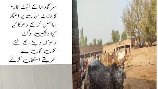 سرگودھا کے ایک فارم کا وزٹ لوگوں کے فراڈ کے نت نئے طریقے