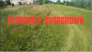 Mowing EXTREMELY Tall Grass !! 2 Overgrown Lawns