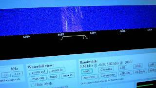 Backwards Music/ Whales Station 6688.33 khz LSB 06.30z-