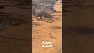 Hunting Impala in South Africa with my Sako 30-06! #Hunting #africansafari #headshot