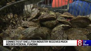 News 8: Rep. Courtney Announces New Federal Funding for Eastern CT Shellfish Farmers (10.21.20)