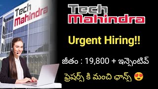 Tech Mahindra walkins | any graduate | hyderabad latest jobs || walkins