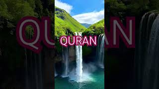 Surah Nisa Ayat No 76-77 urdu translation #islamic#video #shorts#youtube#viral