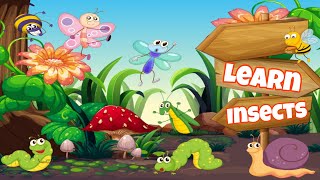 Learning Insects For Kids – Insect Names and Sounds for Children, Toddlers, Kindergarten