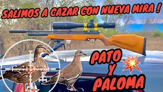 DEMASIADO BUENO ‼️ Salimos de caceria con la nueva mira march 5-25x50 en el Aztk V raptor - pr900