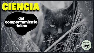 La ciencia detrás del comportamiento de los gatos