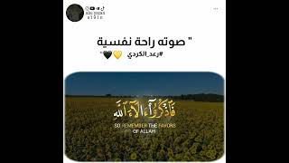 صوته راحة نفسية🖤💛 القارئ رعد الكردي 😍♥️