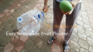 Turn Plastic bottle into Fruit plucker