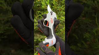 Vineyard & Orchard Maintenance Made Easy with New STIHL Cordless Secateurs - Pruning Trees Shrubs