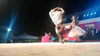 Vice Campeones Nacionales de cueca Jóvenes del Aconcagua 2017