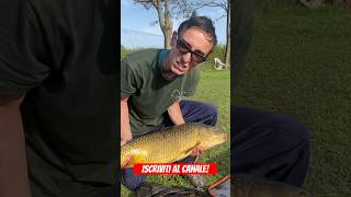 #shortbig #shortfishing #shorts #big #bigcarp #subscribe #fishing