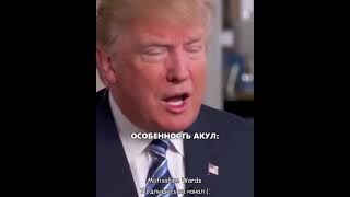 Дональд Трамп. Ты должен стать акулой! Иди до конца! Смотреть всем. Мотивация от президента. #shorts