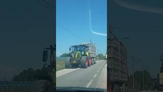 Trinciato 2024 - Claas Arion #harvester #claas #claasarion #caseihagriculture #silage #cornsilage