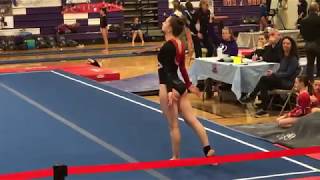 Alanna Sweet 2019 March 17 Level 4 floor