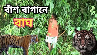 বাঁশ বাগানে বাঘের ভয়||বাঁশ বাগান বাঘ আছে মানুষে কয়||